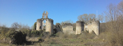 Ruines du château de Vaujours